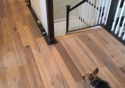 Dog on just installed new hardwood floor - Fort Collins Hardwood Flooring - Carpet, hardwood, tile, vinyl, laminate
