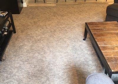 carpet in living room - Fort Collins Flooring - Carpet, hardwood, tile, vinyl, laminate - Northern Colorado Carpets