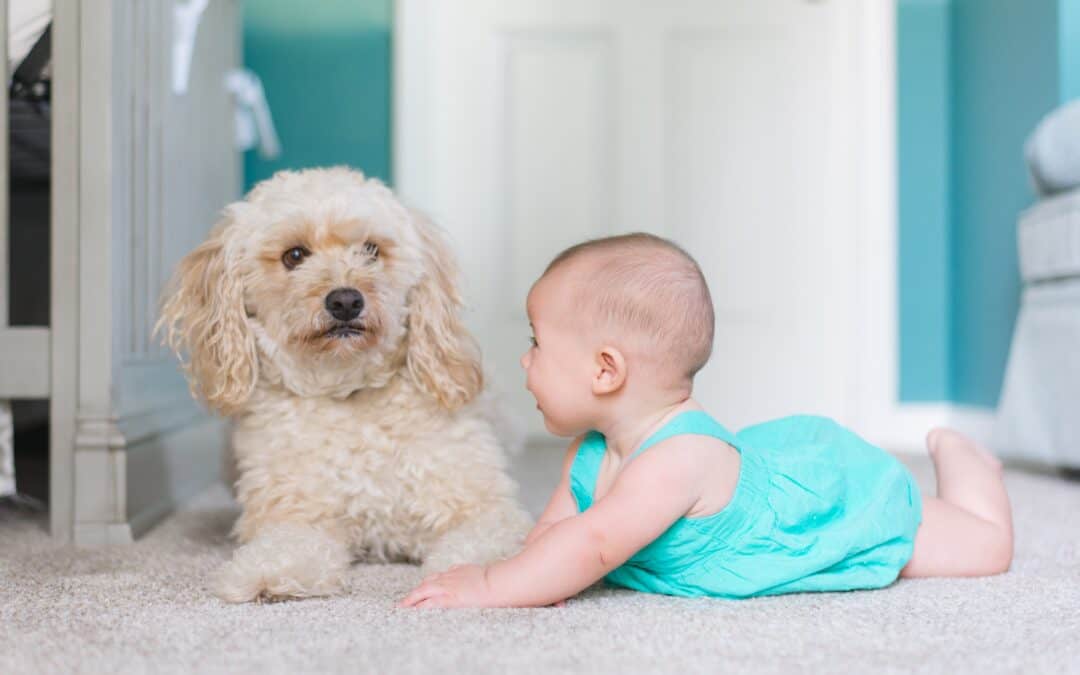 Baby and Dog on Carpet
