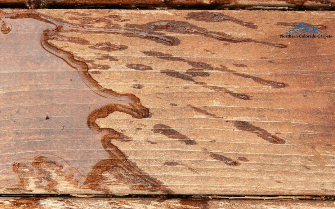 An engineered hardwood floor covered in water.