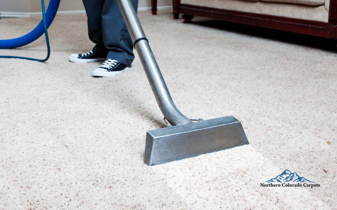 Carpet Care 101: A Flooring Contractor’s Guide to Long-Lasting Carpets