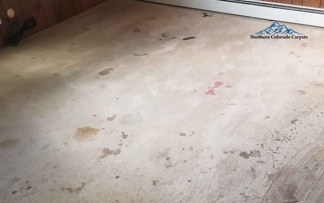 Signs You Need New Carpet: When Replacement Beats Repair